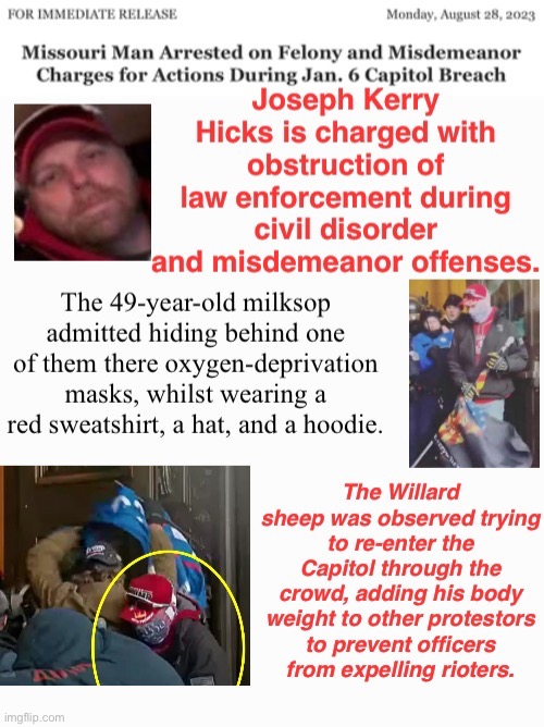 ozark hicks | image tagged in domestic terrorists,treason,traitor,safety in numbers,loser,coward in hiding | made w/ Imgflip meme maker