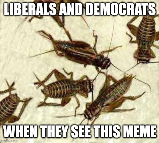 Crickets | LIBERALS AND DEMOCRATS WHEN THEY SEE THIS MEME | image tagged in crickets | made w/ Imgflip meme maker
