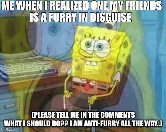 Panic Panic | ME WHEN I REALIZED ONE MY FRIENDS
IS A FURRY IN DISGUISE; (PLEASE TELL ME IN THE COMMENTS
WHAT I SHOULD DO?? I AM ANTI-FURRY ALL THE WAY..) | image tagged in spongebob panic inside | made w/ Imgflip meme maker