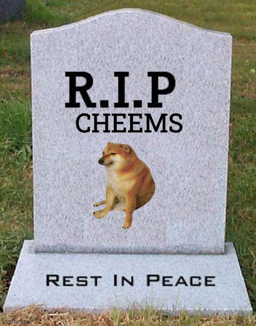 RIP headstone | CHEEMS | image tagged in rip headstone | made w/ Imgflip meme maker