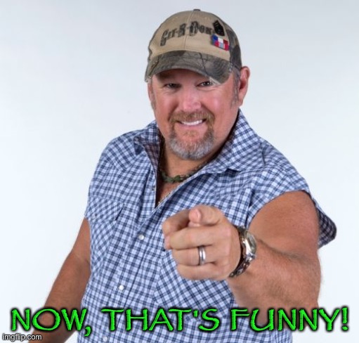 Larry the Cable Guy | NOW, THAT'S FUNNY! | image tagged in larry the cable guy | made w/ Imgflip meme maker