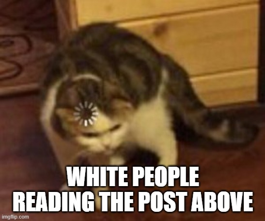 Loading cat | WHITE PEOPLE READING THE POST ABOVE | image tagged in loading cat | made w/ Imgflip meme maker
