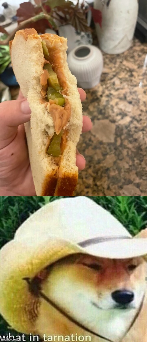 Pickles and peanut butter absolutely suck when put together -_- | image tagged in what in tarnation dog | made w/ Imgflip meme maker