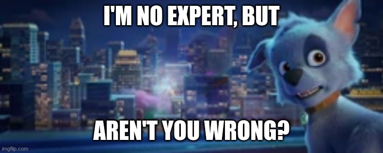 I’m No Expert, But | I'M NO EXPERT, BUT AREN'T YOU WRONG? | image tagged in i m no expert but | made w/ Imgflip meme maker
