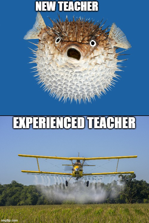 Cropdusting | NEW TEACHER; EXPERIENCED TEACHER | image tagged in teacher,gas,cropdusting,farts,school,funny | made w/ Imgflip meme maker
