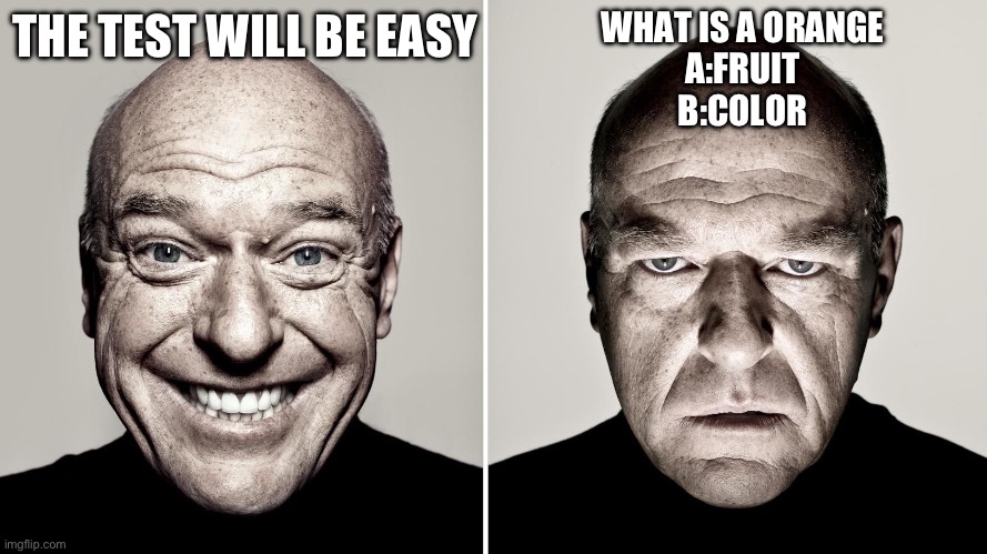 Dean Norris's reaction | WHAT IS A ORANGE
A:FRUIT
B:COLOR; THE TEST WILL BE EASY | image tagged in dean norris's reaction | made w/ Imgflip meme maker