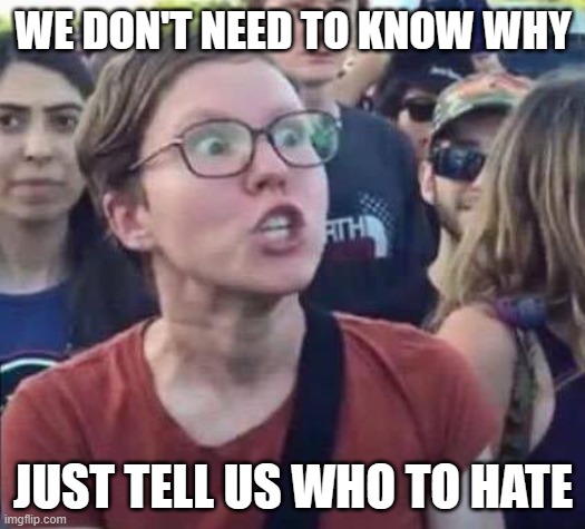 Angry Liberal | WE DON'T NEED TO KNOW WHY; JUST TELL US WHO TO HATE | image tagged in angry liberal | made w/ Imgflip meme maker