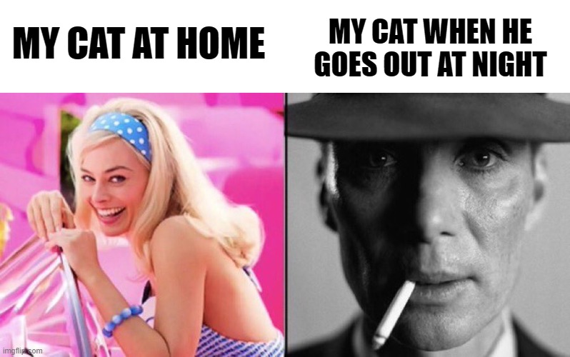 Home/City at night | MY CAT WHEN HE GOES OUT AT NIGHT; MY CAT AT HOME | image tagged in barbie oppenheimer | made w/ Imgflip meme maker