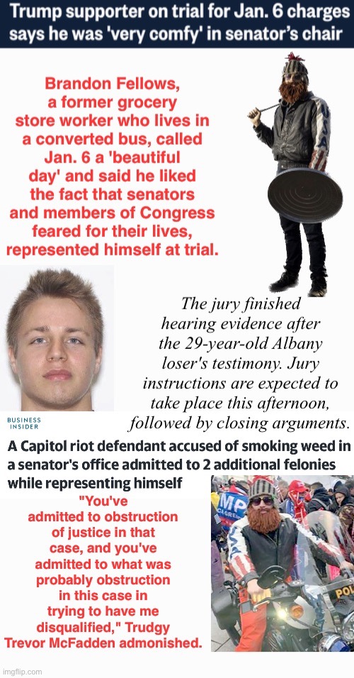 Going To Jury | image tagged in domestic terrorists,treason,traitors,cray cray,dim bulb,safety in numbers | made w/ Imgflip meme maker