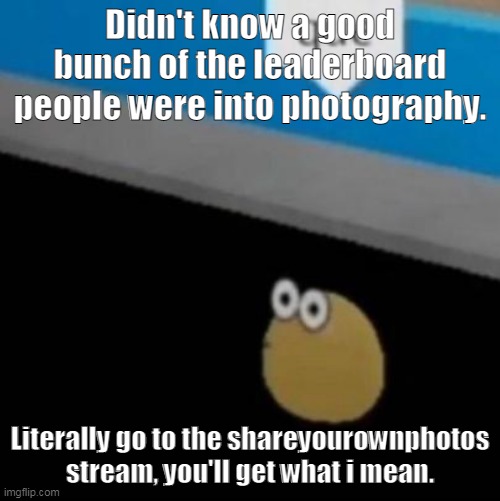 que | Didn't know a good bunch of the leaderboard people were into photography. Literally go to the shareyourownphotos stream, you'll get what i mean. | image tagged in que | made w/ Imgflip meme maker