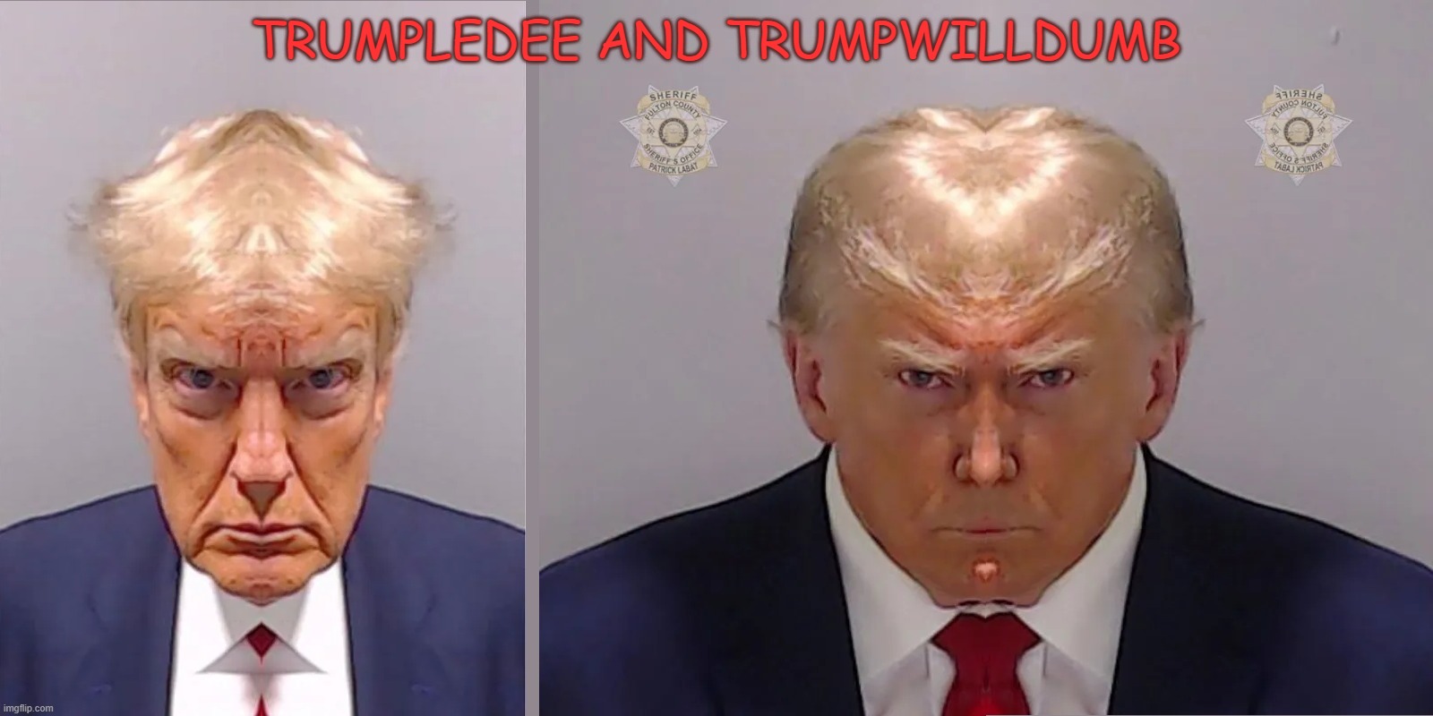 Trumpledee and Trumpwilldumb in Georgia | TRUMPLEDEE AND TRUMPWILLDUMB | image tagged in trump,georgia,mugshot,inditement,republican,alice in wonderland | made w/ Imgflip meme maker