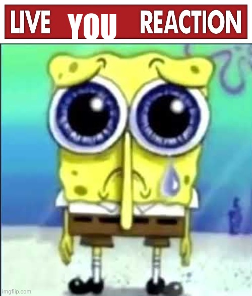 YOU | image tagged in live x reaction,sad spongebob | made w/ Imgflip meme maker