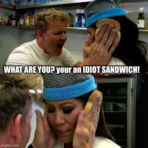 hahaha that's what she gets | WHAT ARE YOU? your an IDIOT SANDWICH! | image tagged in gordon ramsay idiot sandwich,gordon ramsey,funny,idiots,sandwich,cooking | made w/ Imgflip meme maker