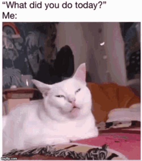 uhhmmm | image tagged in summer,relatable,tired,kitty | made w/ Imgflip meme maker