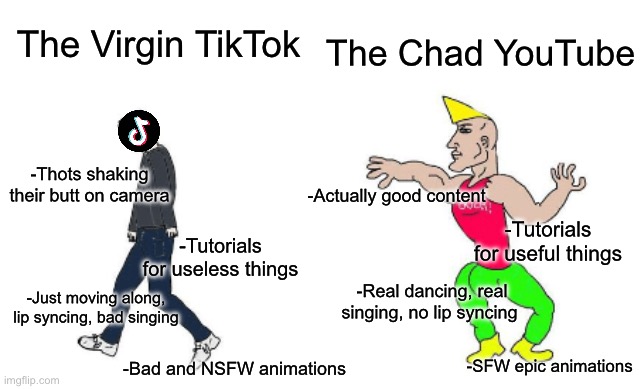 True | The Virgin TikTok; The Chad YouTube; -Thots shaking their butt on camera; -Actually good content; -Tutorials for useful things; -Tutorials for useless things; -Real dancing, real singing, no lip syncing; -Just moving along, lip syncing, bad singing; -SFW epic animations; -Bad and NSFW animations | image tagged in virgin vs chad | made w/ Imgflip meme maker