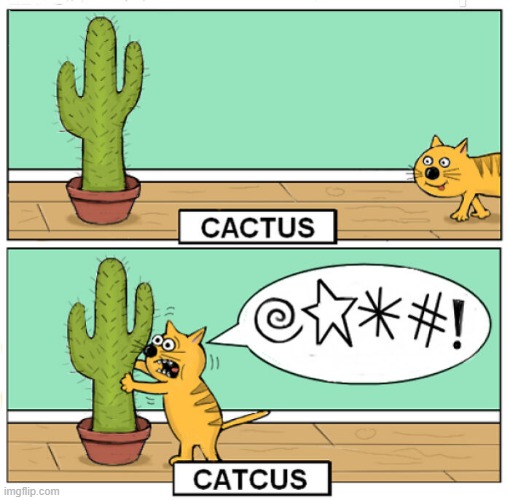 Cat n Cactcus | image tagged in comics | made w/ Imgflip meme maker