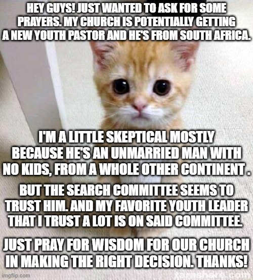 all prayers appreciated! :) | HEY GUYS! JUST WANTED TO ASK FOR SOME PRAYERS. MY CHURCH IS POTENTIALLY GETTING A NEW YOUTH PASTOR AND HE'S FROM SOUTH AFRICA. I'M A LITTLE SKEPTICAL MOSTLY BECAUSE HE'S AN UNMARRIED MAN WITH NO KIDS, FROM A WHOLE OTHER CONTINENT . BUT THE SEARCH COMMITTEE SEEMS TO TRUST HIM. AND MY FAVORITE YOUTH LEADER THAT I TRUST A LOT IS ON SAID COMMITTEE. JUST PRAY FOR WISDOM FOR OUR CHURCH IN MAKING THE RIGHT DECISION. THANKS! | image tagged in memes,cute cat,prayer,youth,pastor,church | made w/ Imgflip meme maker