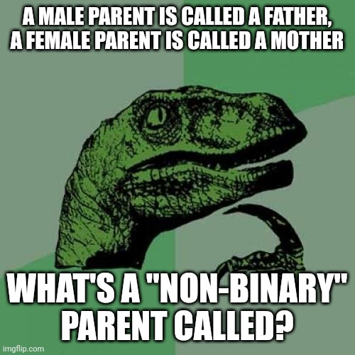 If You Can't Answer This Question, Then There Are Only 2 Genders | A MALE PARENT IS CALLED A FATHER, A FEMALE PARENT IS CALLED A MOTHER; WHAT'S A "NON-BINARY" PARENT CALLED? | image tagged in philosoraptor,gender,genders,2 genders,non binary,parents | made w/ Imgflip meme maker
