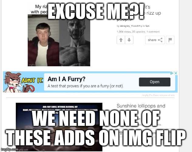 Really | EXCUSE ME?! WE NEED NONE OF THESE ADDS ON IMG FLIP | image tagged in wow | made w/ Imgflip meme maker