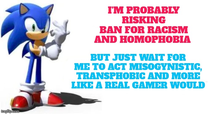 Remember me as a based guy if the worst happens | I'M PROBABLY RISKING BAN FOR RACISM AND HOMOPHOBIA; BUT JUST WAIT FOR ME TO ACT MISOGYNISTIC, TRANSPHOBIC AND MORE LIKE A REAL GAMER WOULD | image tagged in sonic says,based | made w/ Imgflip meme maker