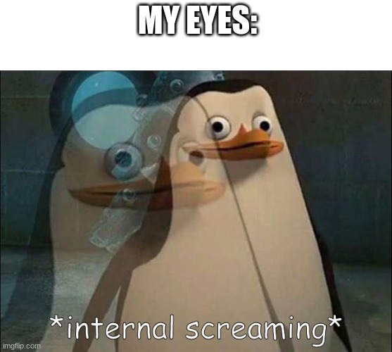 Private Internal Screaming | MY EYES: | image tagged in private internal screaming | made w/ Imgflip meme maker