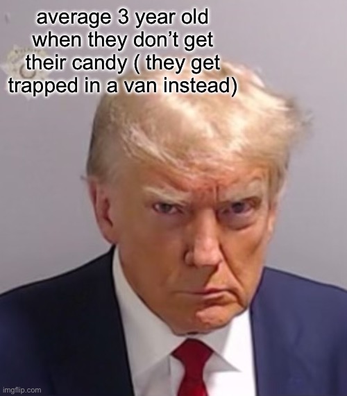 YO ANYONE WANT CAND- ahem | average 3 year old when they don’t get their candy ( they get trapped in a van instead) | image tagged in donald trump mugshot | made w/ Imgflip meme maker