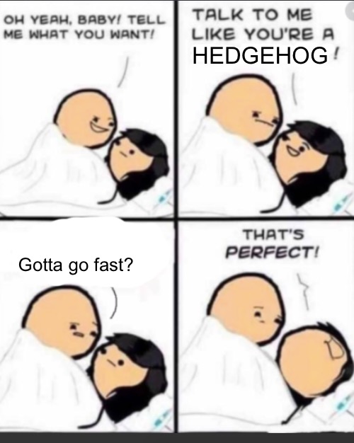Talk to me like a Idiot | HEDGEHOG; Gotta go fast? | image tagged in talk to me like a idiot | made w/ Imgflip meme maker