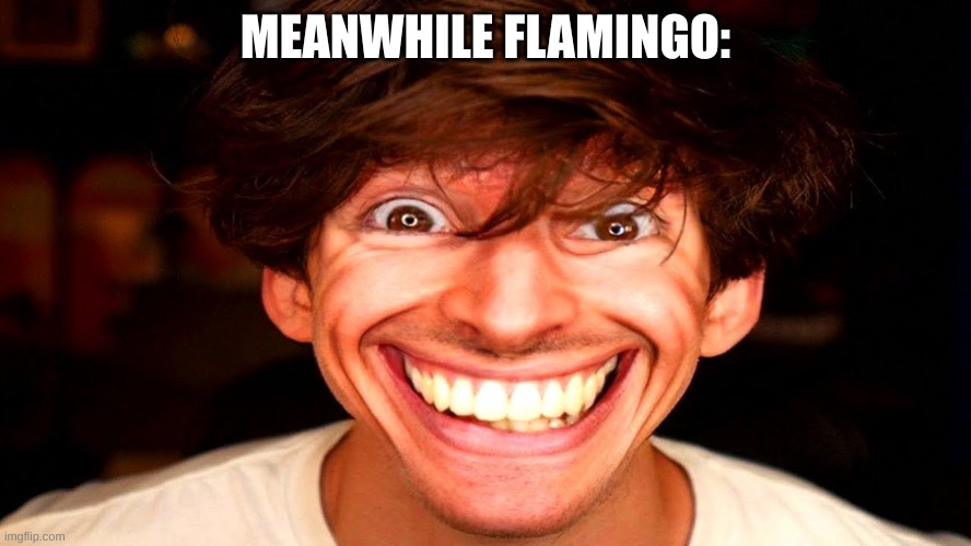 Flamingo | MEANWHILE FLAMINGO: | image tagged in flamingo | made w/ Imgflip meme maker