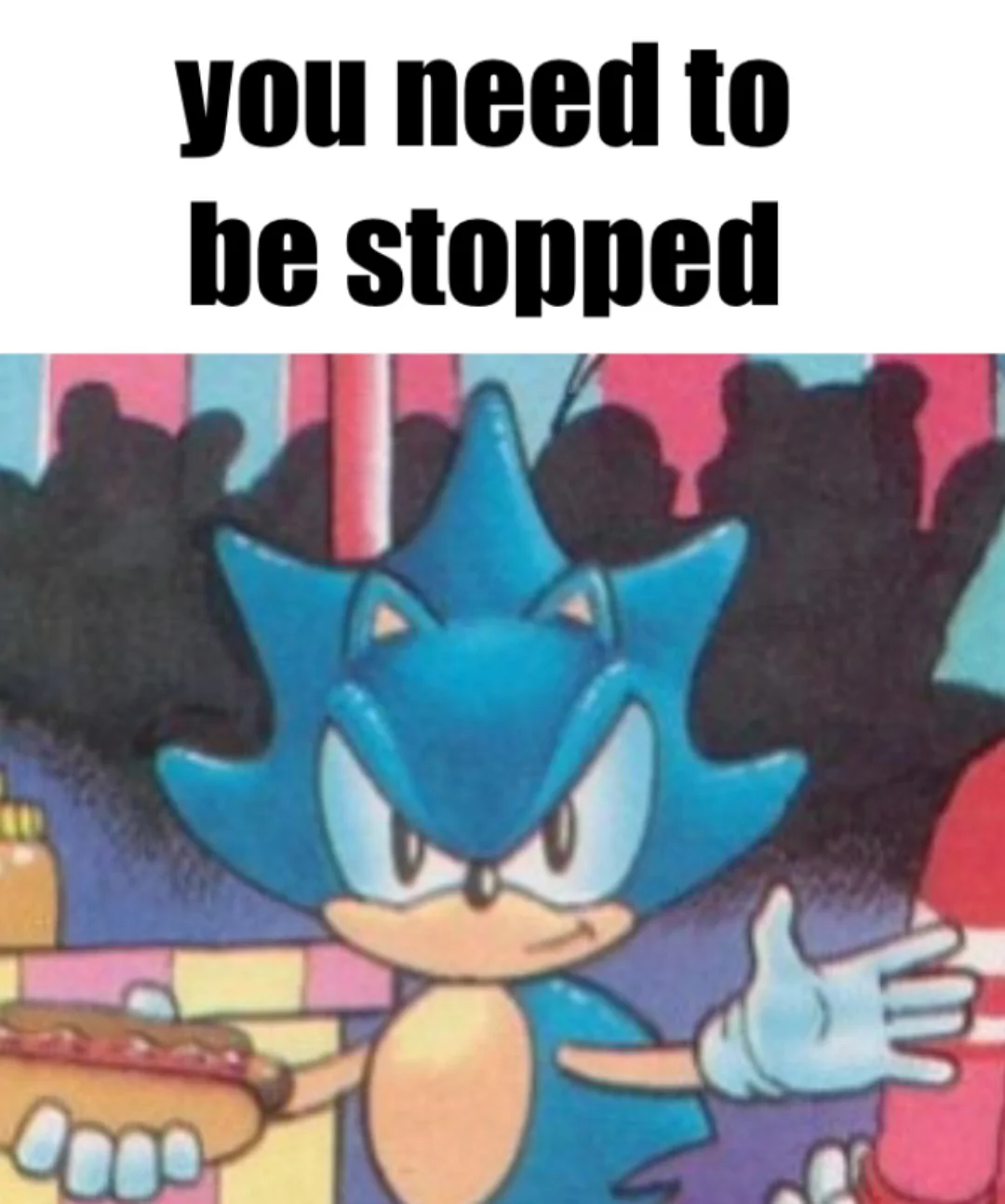 sonic you need to be stopped Blank Meme Template