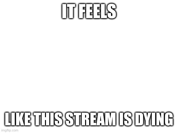 I know someone is going to get mad | IT FEELS; LIKE THIS STREAM IS DYING | image tagged in blank white template,dead,stream | made w/ Imgflip meme maker