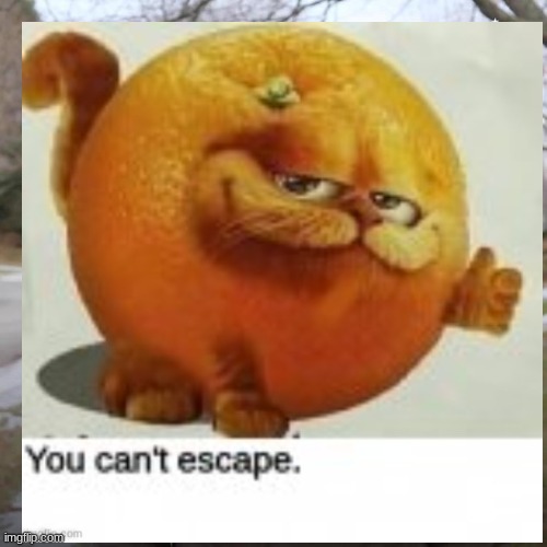 Gorange | image tagged in baen | made w/ Imgflip meme maker