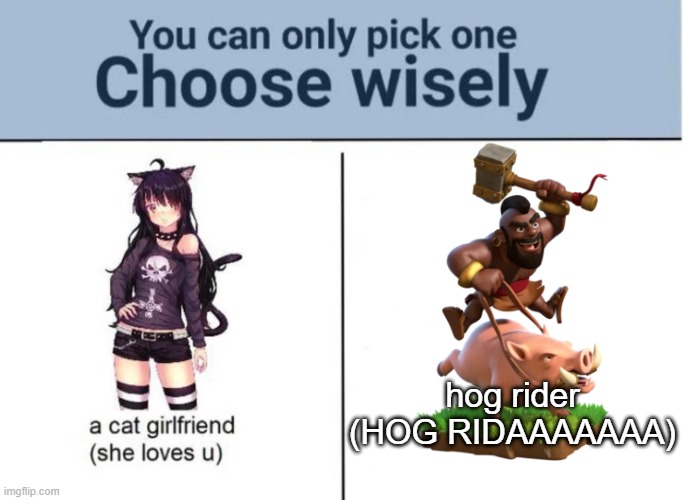 Choose wisely | hog rider
(HOG RIDAAAAAAA) | image tagged in choose wisely | made w/ Imgflip meme maker