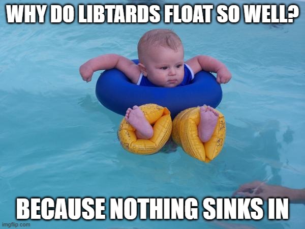 Whatever Floats Your Floatie | WHY DO LIBTARDS FLOAT SO WELL? BECAUSE NOTHING SINKS IN | image tagged in whatever floats your floatie | made w/ Imgflip meme maker