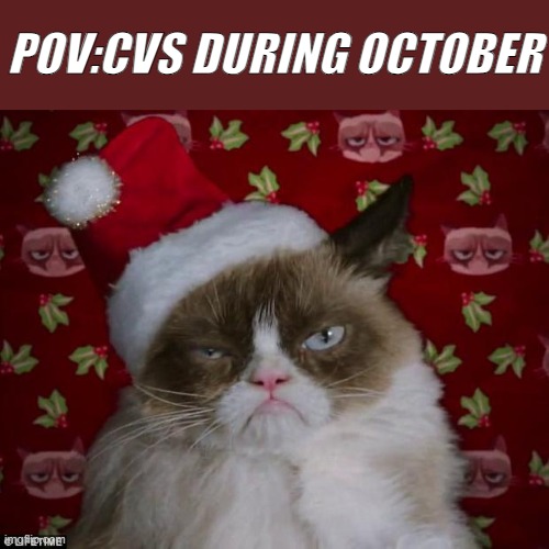 is true | POV:CVS DURING OCTOBER | image tagged in grumpy cat christmas | made w/ Imgflip meme maker