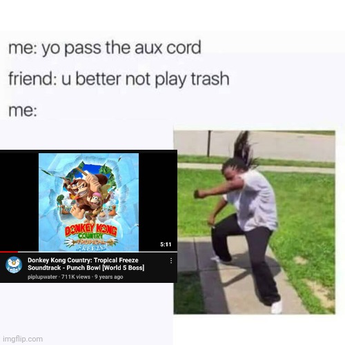 Tropical Freeze is the best platformer ever made, and if you say it isn't, you're factually wrong | image tagged in pass the aux cord | made w/ Imgflip meme maker