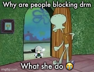 Holy crap Lois is youmu fumo | Why are people blocking drm; What she do 😭 | image tagged in holy crap lois is youmu fumo | made w/ Imgflip meme maker