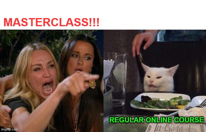 It's just word glitter. | MASTERCLASS!!! REGULAR ONLINE COURSE | image tagged in memes,woman yelling at cat,nixieknox | made w/ Imgflip meme maker