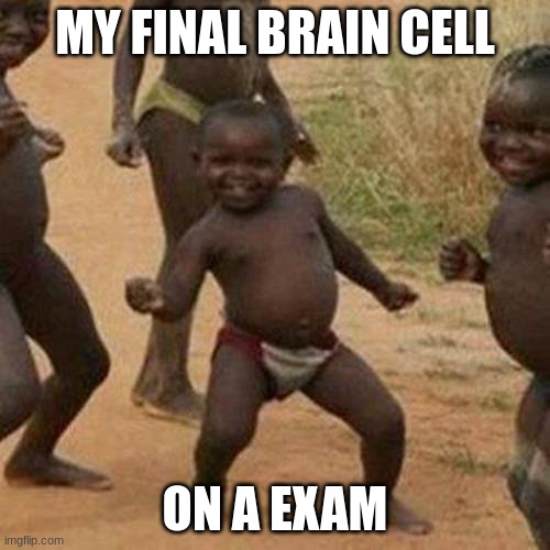Third World Success Kid | MY FINAL BRAIN CELL; ON A EXAM | image tagged in memes,third world success kid | made w/ Imgflip meme maker