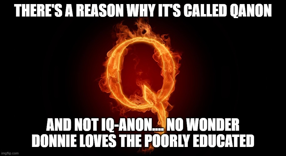 QANON | THERE'S A REASON WHY IT'S CALLED QANON; AND NOT IQ-ANON.... NO WONDER DONNIE LOVES THE POORLY EDUCATED | image tagged in qanon | made w/ Imgflip meme maker