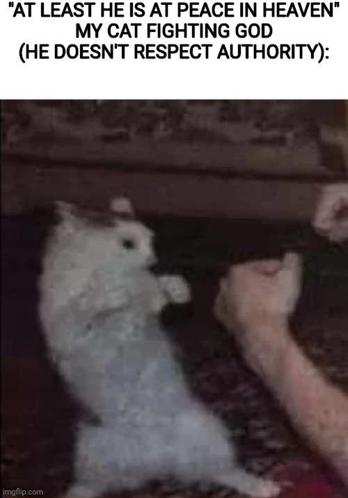"AT LEAST HE IS AT PEACE IN HEAVEN"
MY CAT FIGHTING GOD (HE DOESN'T RESPECT AUTHORITY): | made w/ Imgflip meme maker
