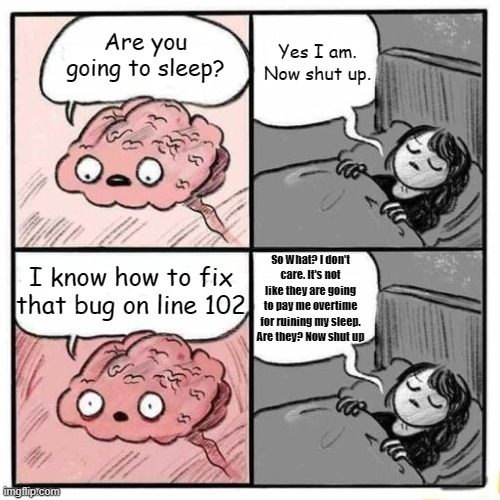 I Dont Care Brain | Are you going to sleep? Yes I am. Now shut up. I know how to fix that bug on line 102; So What? I don't care. It's not like they are going to pay me overtime for ruining my sleep. Are they? Now shut up | image tagged in dont care im sleeping,programming,programmers | made w/ Imgflip meme maker