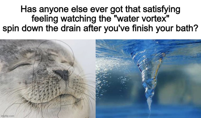 It's one of the small joys of life (as a kid at least :) | Has anyone else ever got that satisfying feeling watching the "water vortex" spin down the drain after you've finish your bath? | image tagged in memes,satisfied seal | made w/ Imgflip meme maker