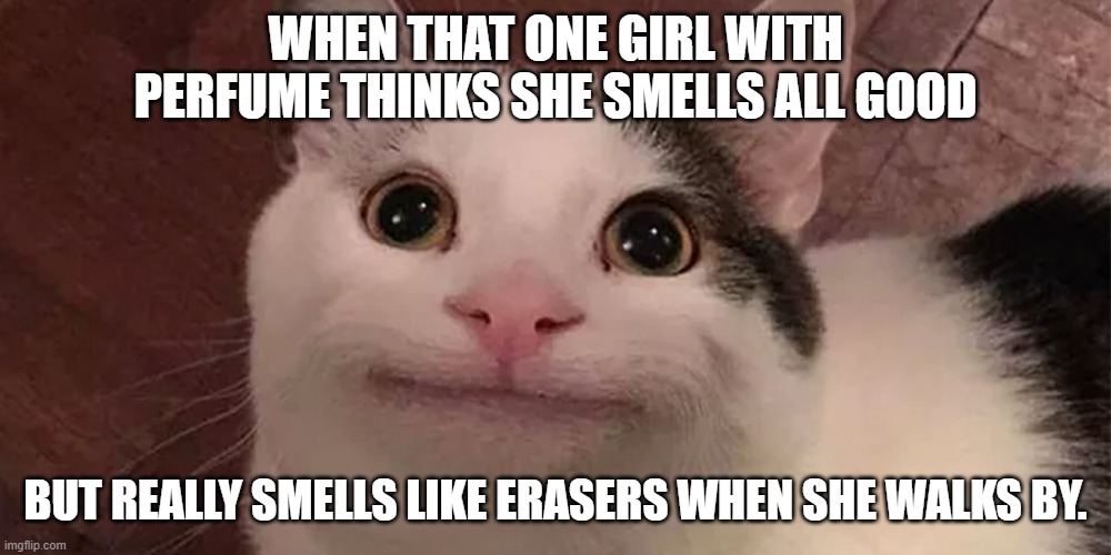-onomatopoeia for perfume- | WHEN THAT ONE GIRL WITH PERFUME THINKS SHE SMELLS ALL GOOD; BUT REALLY SMELLS LIKE ERASERS WHEN SHE WALKS BY. | image tagged in beluga | made w/ Imgflip meme maker