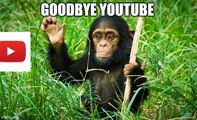 goodbye | GOODBYE YOUTUBE | image tagged in goodbye | made w/ Imgflip meme maker