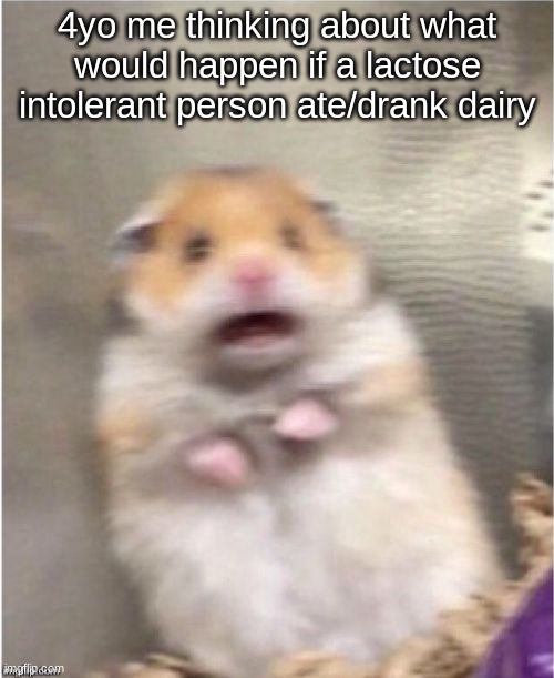 Scared Hamster | 4yo me thinking about what would happen if a lactose intolerant person ate/drank dairy | image tagged in scared hamster | made w/ Imgflip meme maker
