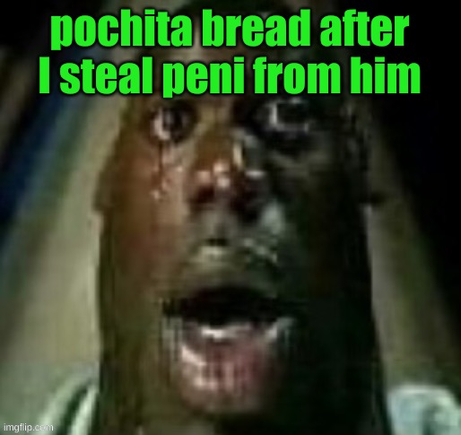 terror | pochita bread after I steal peni from him | image tagged in terror | made w/ Imgflip meme maker