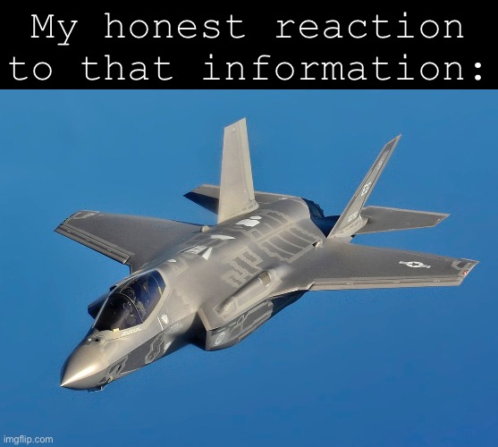 Lockheed Martin F-35B Lightning II live reaction | My honest reaction to that information: | made w/ Imgflip meme maker