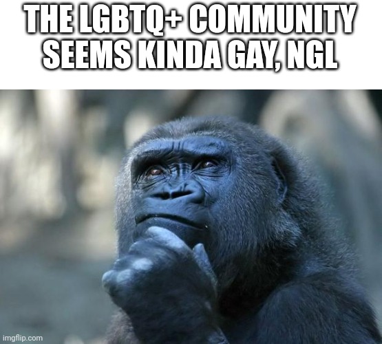 Anyone else notice this? | THE LGBTQ+ COMMUNITY SEEMS KINDA GAY, NGL | image tagged in deep thoughts,lgbtq,joke | made w/ Imgflip meme maker