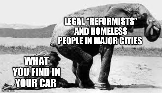 Elephant Poopy | LEGAL “REFORMISTS” AND HOMELESS PEOPLE IN MAJOR CITIES; WHAT YOU FIND IN YOUR CAR | image tagged in elephant poopy,politics | made w/ Imgflip meme maker