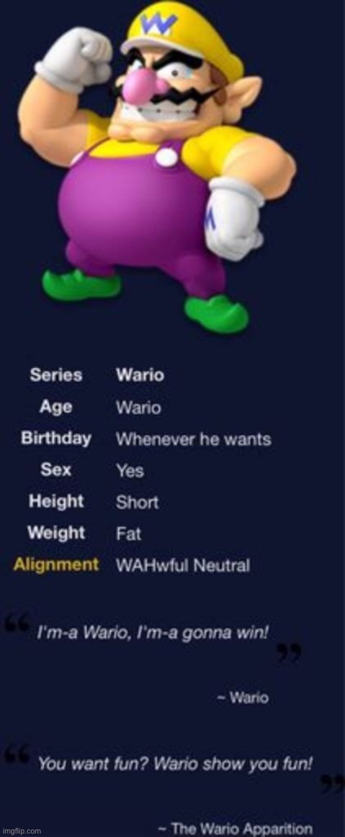 image tagged in wario | made w/ Imgflip meme maker